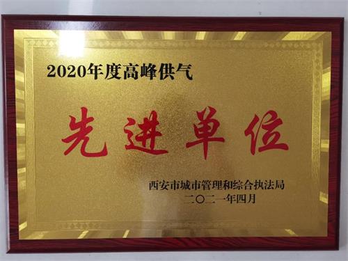 西藍天然氣股份有限公司榮獲“先 進 單 位”榮譽稱號