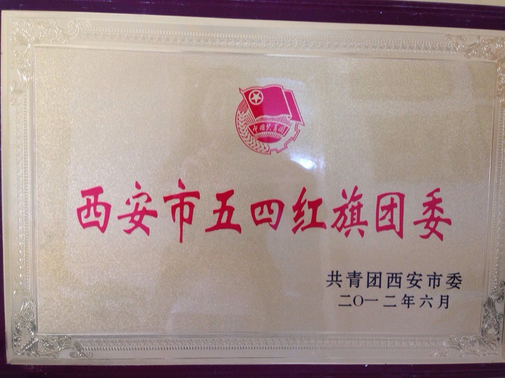 西安市五四紅旗團(tuán)委