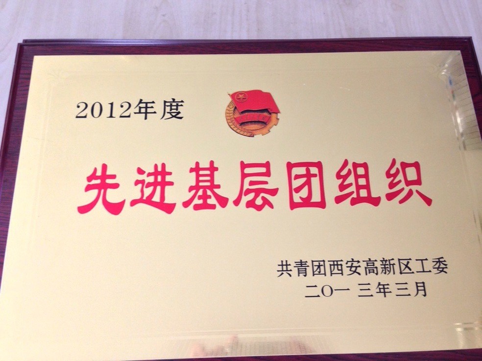 先 進(jìn)基層團(tuán)組織