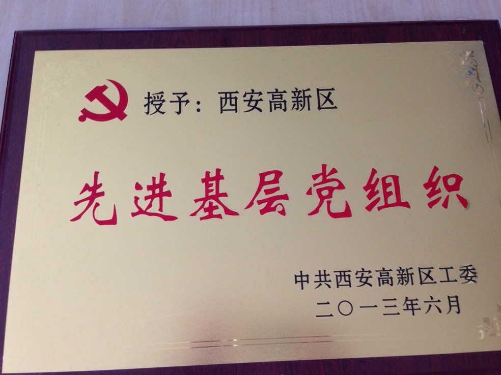 高新區(qū)先 進(jìn)基層黨組織